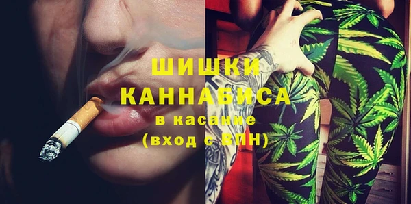 PSILOCYBIN Тайга